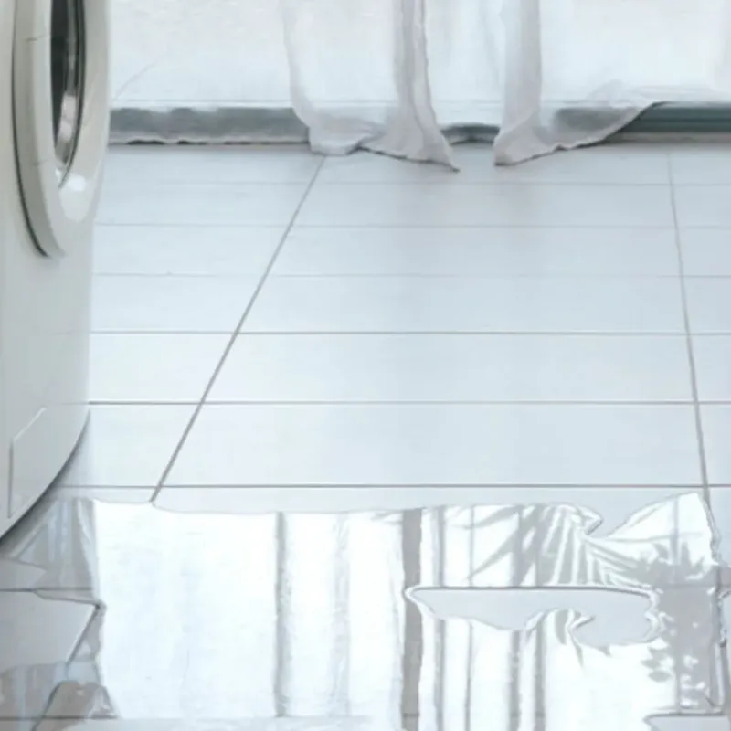 Appliance Leak Cleanup in Loudon, TN