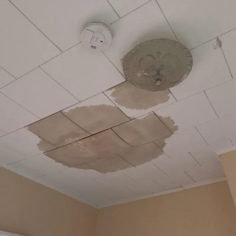 Ceiling Water Damage Repair in Loudon, TN