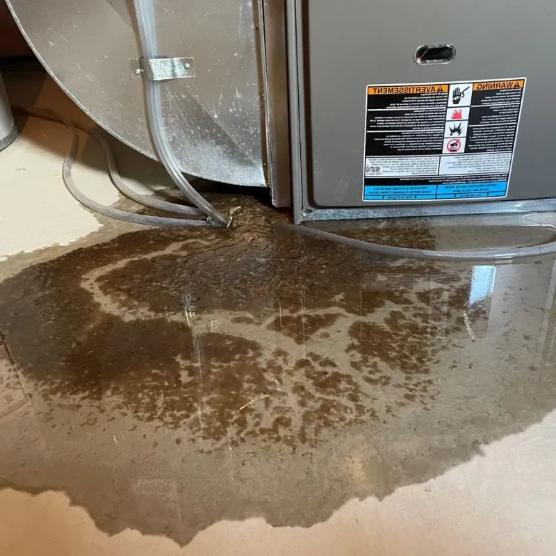 Pipe Burst and Leak Restoration in Loudon, TN