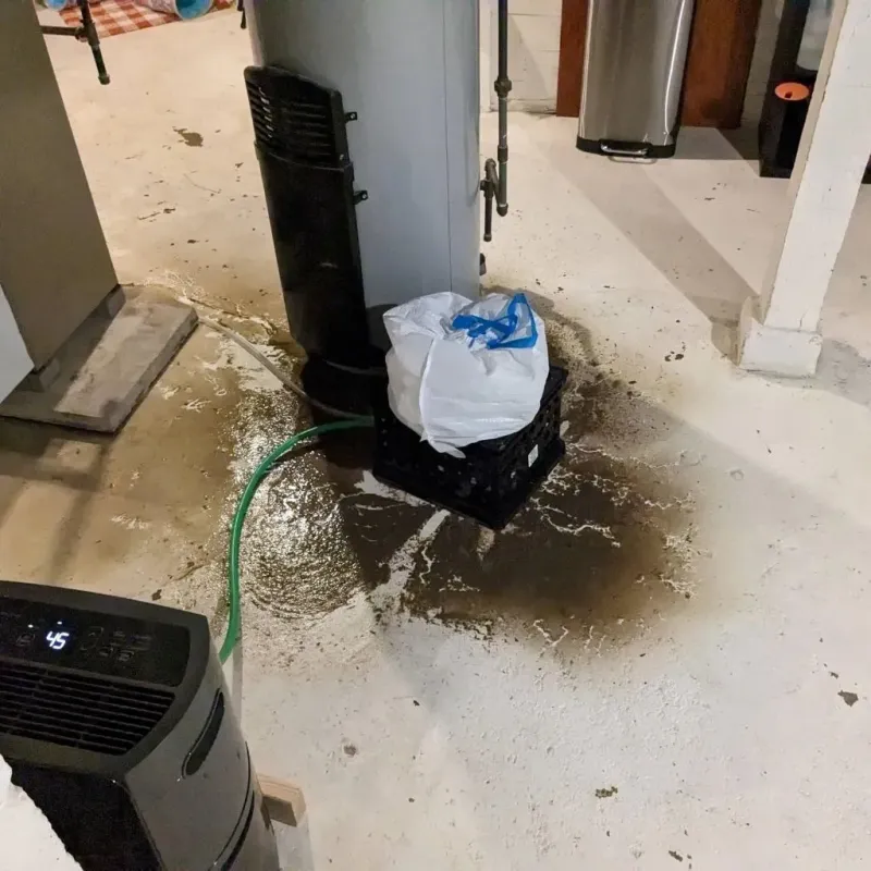 Sewage Backup Cleanup Service in Loudon, TN